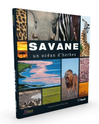 Savane, un océan d'herbes - Denis-Huot