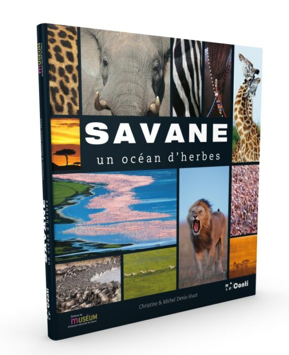 Savane, un océan d'herbes - Denis-Huot