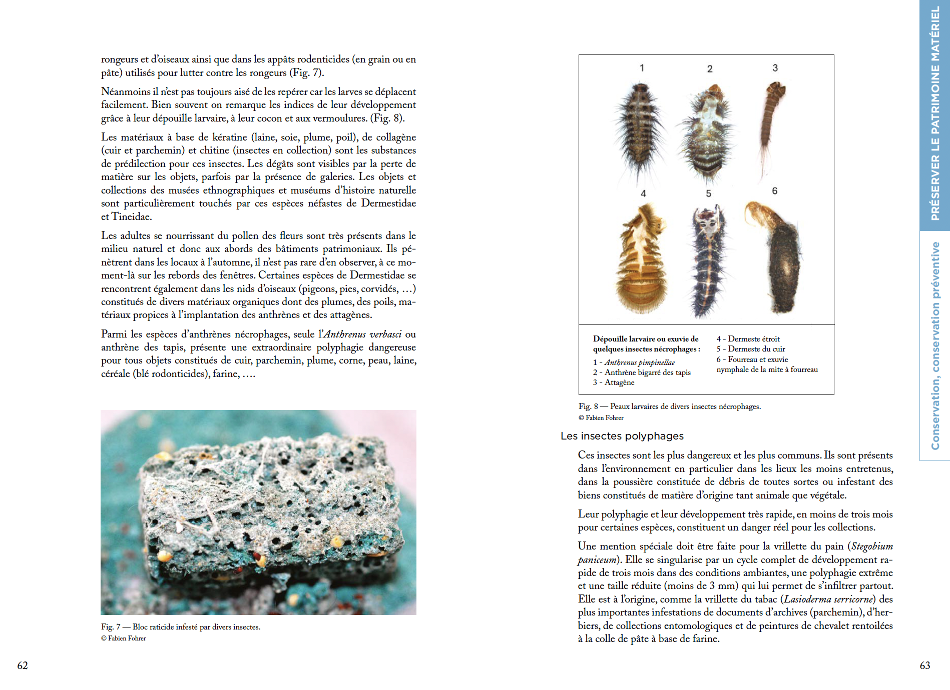 Préserver et transmettre le patrimoine matériel – Image 6